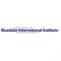 Bluedata International