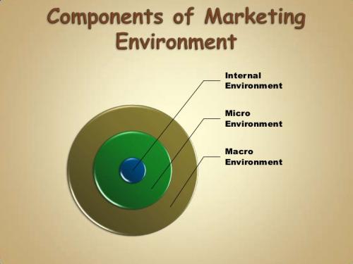 macro-and-micro-marketing-environments-by-adverd-muzoo