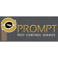 Termite Control Companies Offer Effective Solutions Against Termite