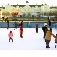 Synthetic Ice Rink Indian