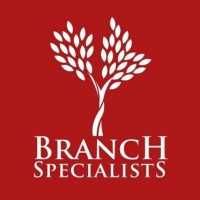 Branch Specialists Tree Service Buffalo NY