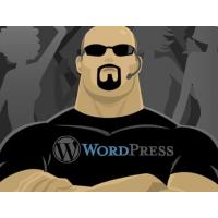 WordPress Theme Desk