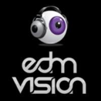 EDM Vision