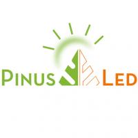 Pinus LED