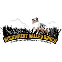Buckwheat Valley Ranch