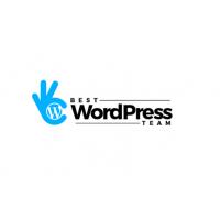 Best WordPress Team