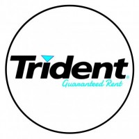 Info Tridentguaranteedrent