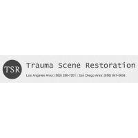 Trauma Scene Restoration
