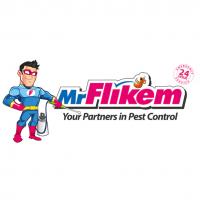Mr Flikem