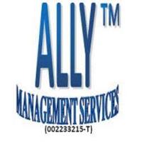 Ally Services