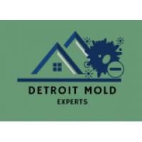 Mold Remediation Detroit Solutions